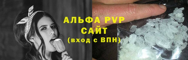 PSILOCYBIN Аркадак
