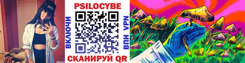 Галлюциногенные грибы Cubensis Судогда