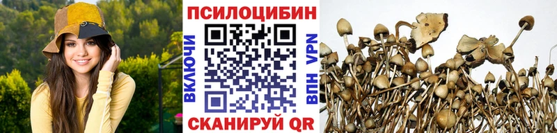 мега ссылки  Судогда  Галлюциногенные грибы GOLDEN TEACHER  наркошоп 